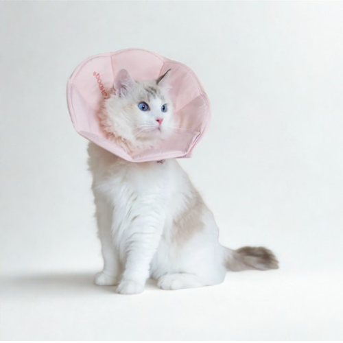 Soft Recovery Cone PINK