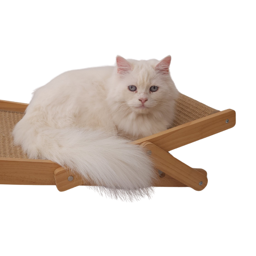 Beach Lounge Chair