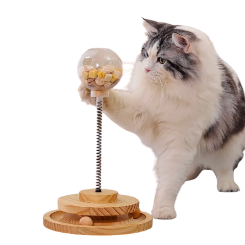 Cat Enrichment & Exercise Toys