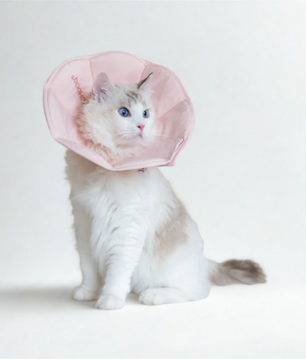 Soft Recovery Cone PINK