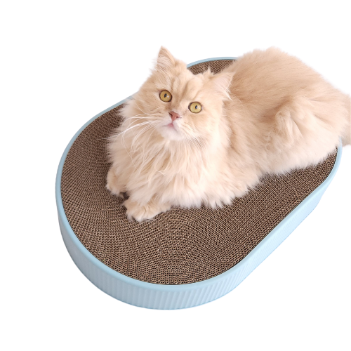 XL Scratcher Bed