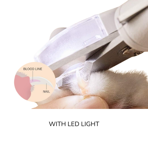 Nail Clipper w/ LED