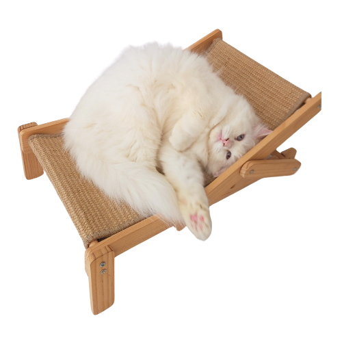 Beach Lounge Chair