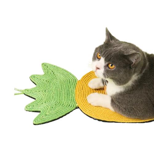 PINEAPPLE Scratcher Mat – Wall or Floor