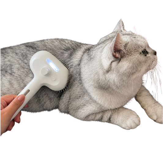 Deshedding Brush with Steam