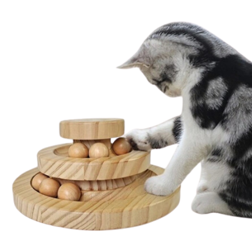interactive wooden cat toys