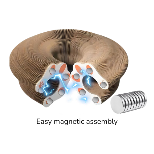 Foldable Accordion Interactive Toy with Ball