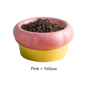 ceramic bowls for cats