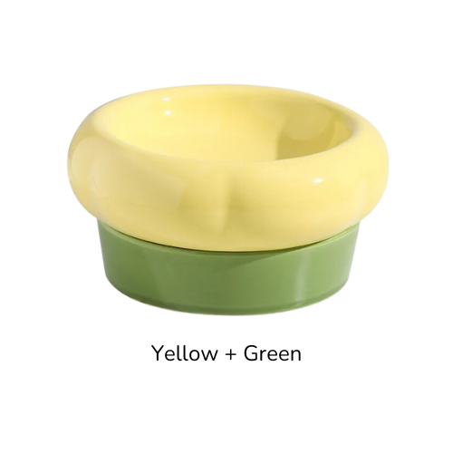 ceramic bowl for cats