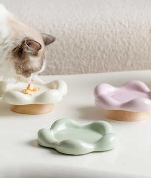 ceramic bowl for cats