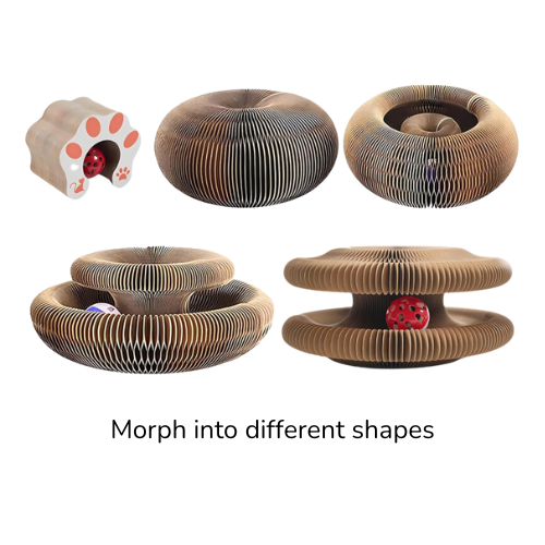 Foldable Accordion Interactive Toy with Ball