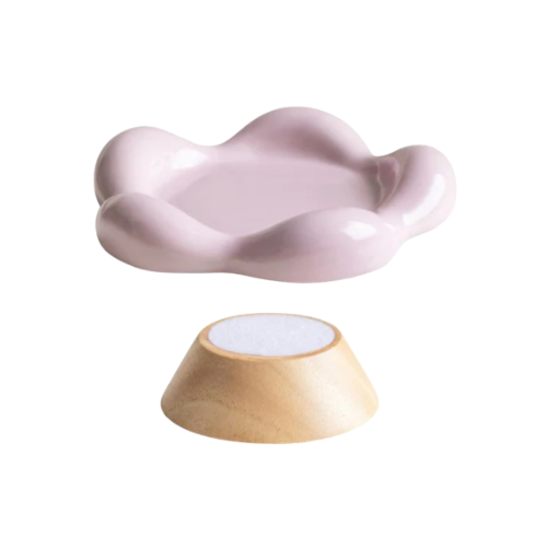 ceramic bowl for cats